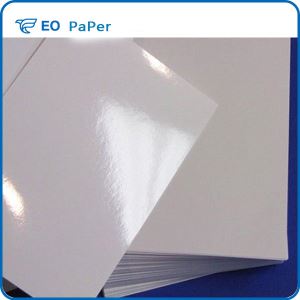 Clay Coated Kraft Release Paper