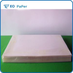 PET Double Silicone Release Film