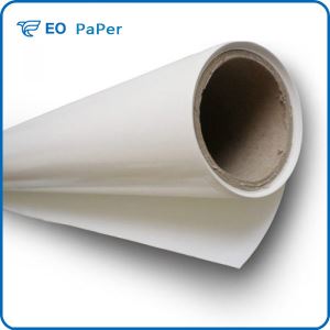 Single Plastic Single Silicon Release Paper